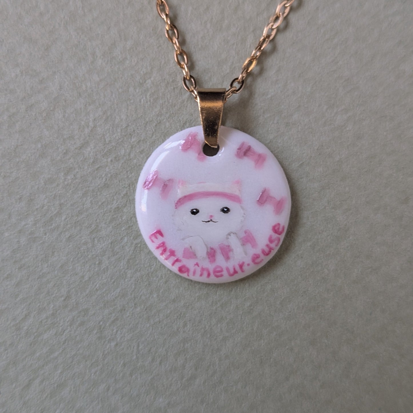 Les métiers du monde des chats